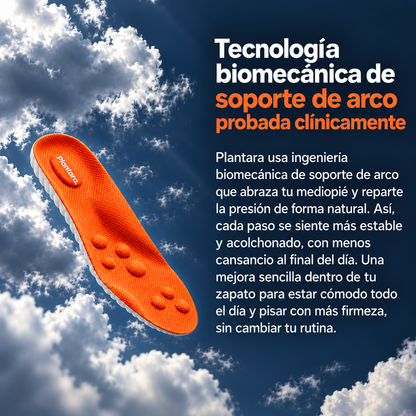 Plantillas de Masaje