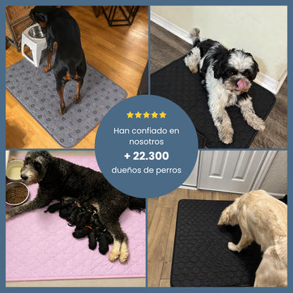 Pawloo™ Tapete Inteligente para Perros